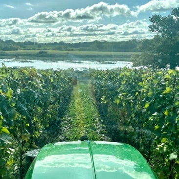 Tractor in the vines