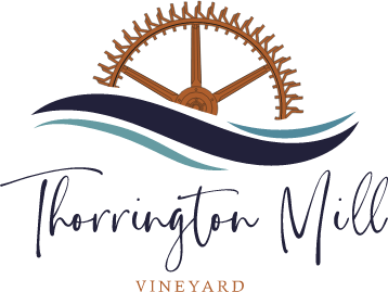 Thorrington Mill Vineyard