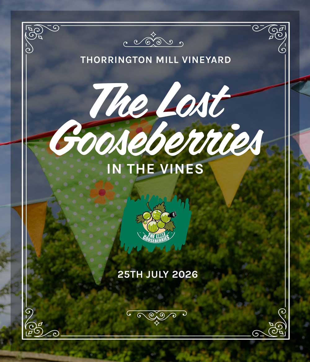 Thorrington Mill Vineyard