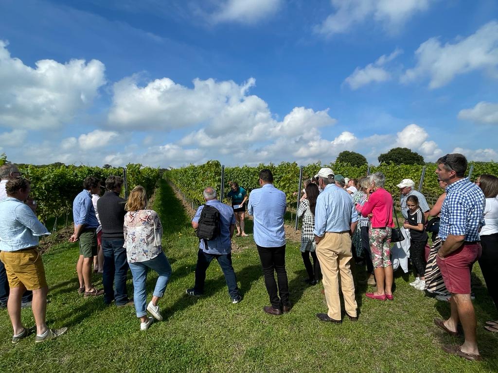 Vineyard Tour & Tasting - Saturday 12 September 2026 - Image 14