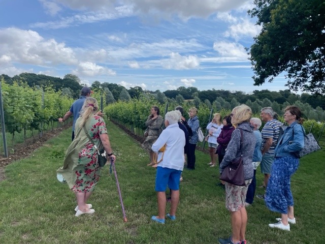 Vineyard Tour & Tasting - Saturday 12 September 2026 - Image 10