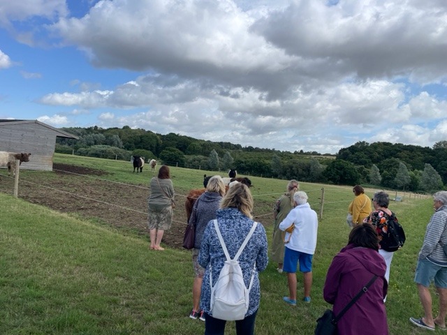 Vineyard Tour & Tasting - Saturday 12 September 2026 - Image 11