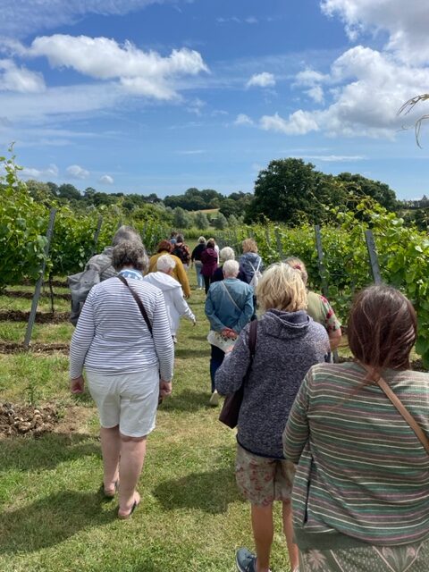 Vineyard Tour & Tasting - Saturday 12 September 2026 - Image 12