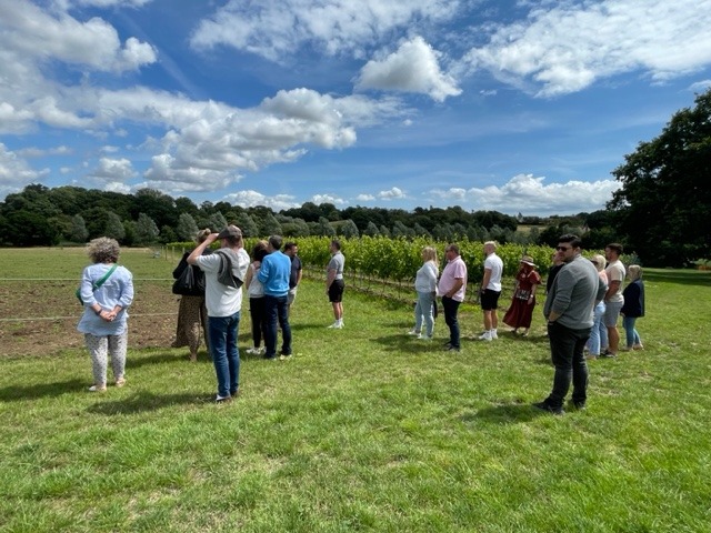Vineyard Tour & Tasting - Saturday 12 September 2026 - Image 4